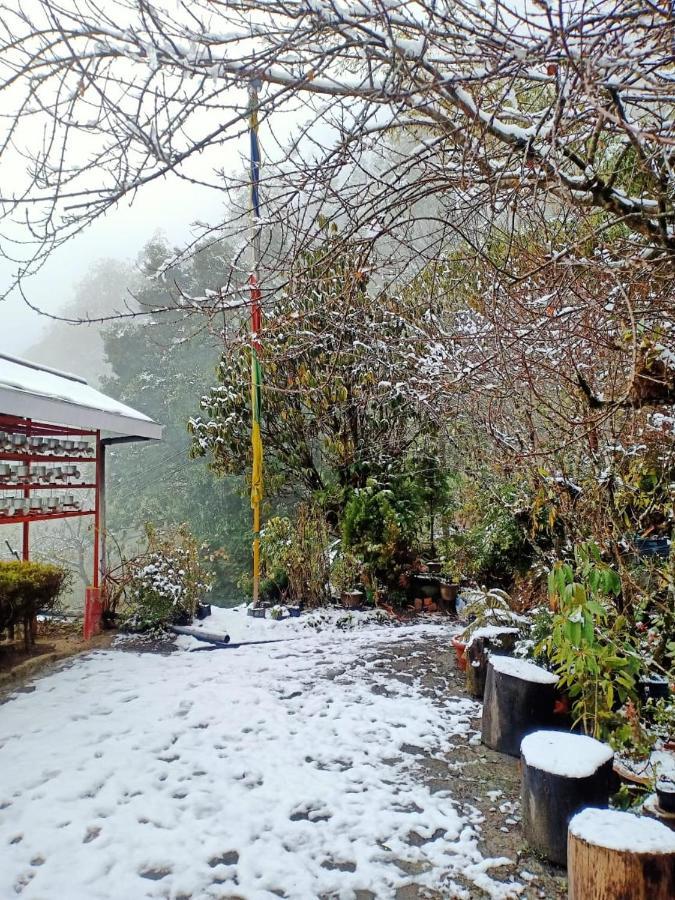 Hermit Retreat Dardżyling Zewnętrze zdjęcie